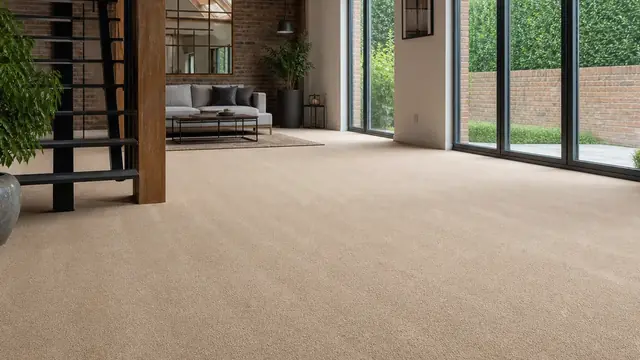 A freshly cleaned living room carpet in Egham